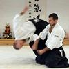 Aikido fight